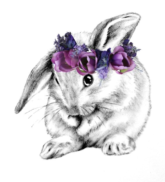 Floppy ear bunny with flower crown.