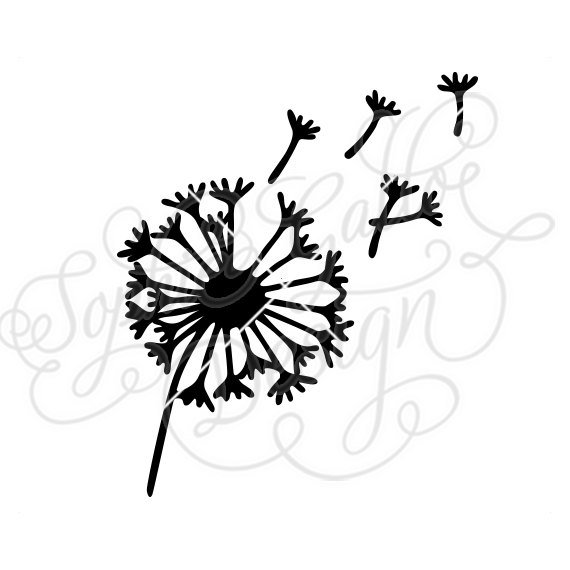 Blowing Dandelion Drawing.