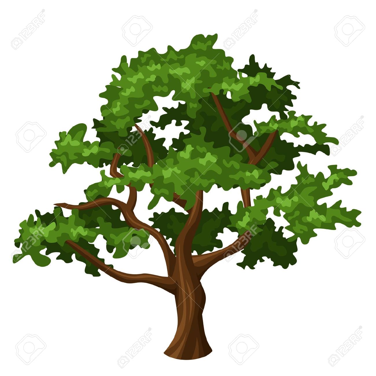 Deciduous tree clipart.