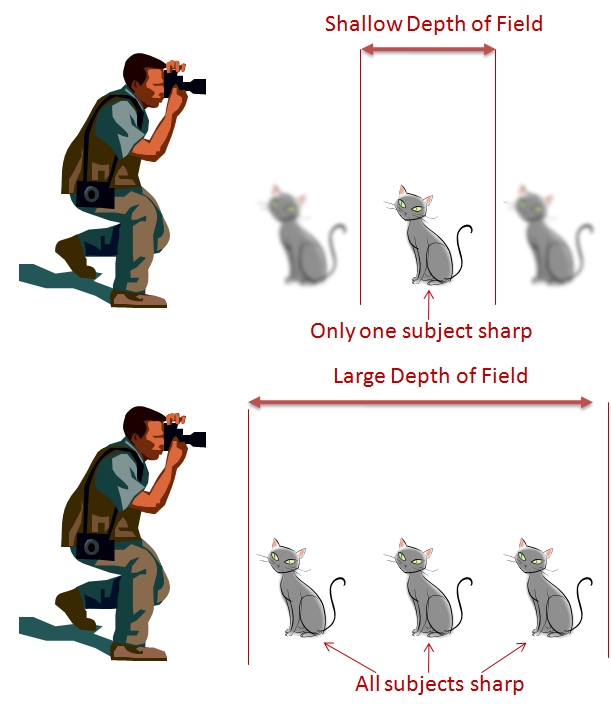 Depth of Field explained : Digital Photography Student.