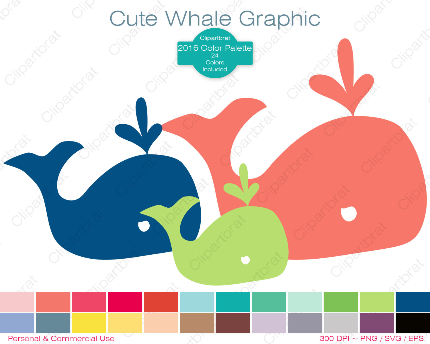 WHALE Clipart Commercial Use Clipart CUTE WHALE Graphic 2016 Color.