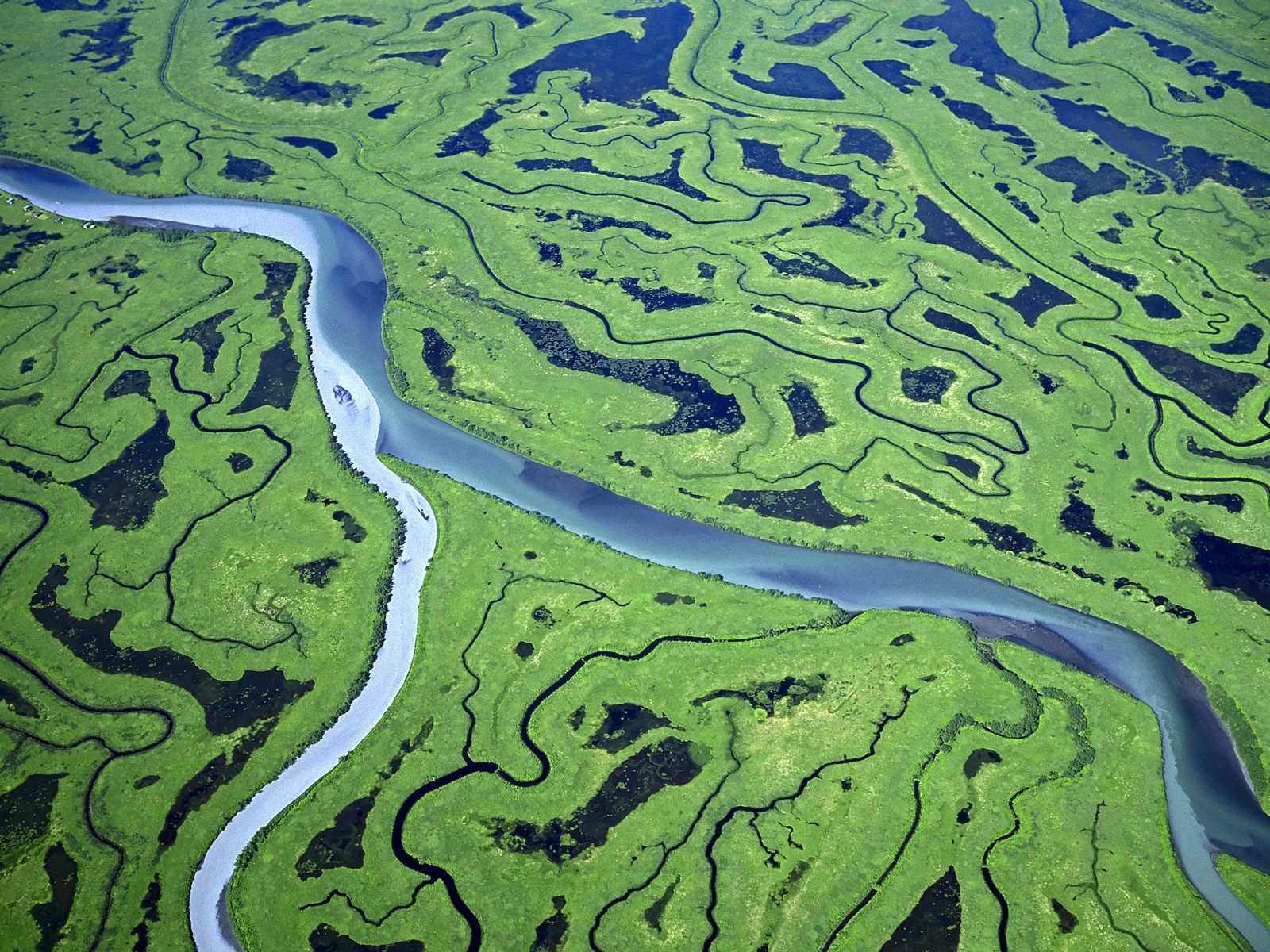 River mouth landform clipart.