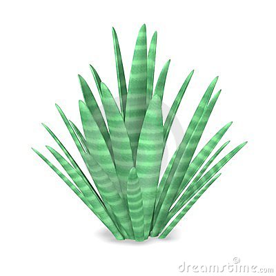 Desert plant clip art.