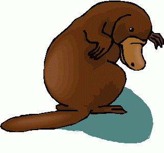 Platypus clipart free.