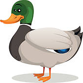 Duck Clipart EPS Images. 11,154 duck clip art vector illustrations.