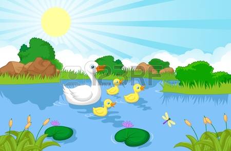 949 Duck Pond Stock Illustrations, Cliparts And Royalty Free Duck.