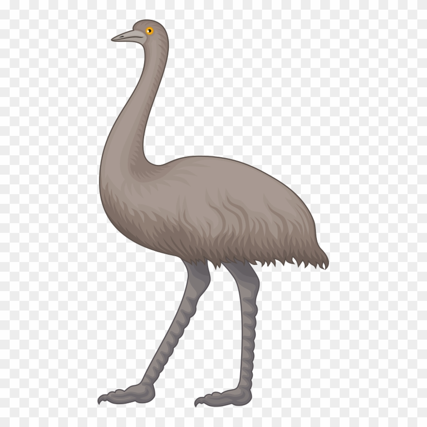 Ostrich Cliparts 12, Buy Clip Art.