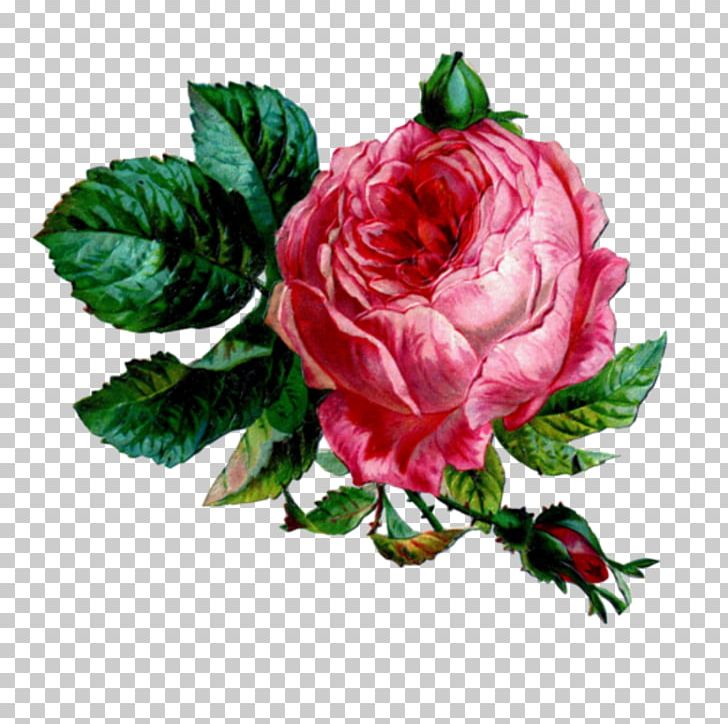 Enchanted Rose Tea Parlour And Gift Boutique PNG, Clipart.