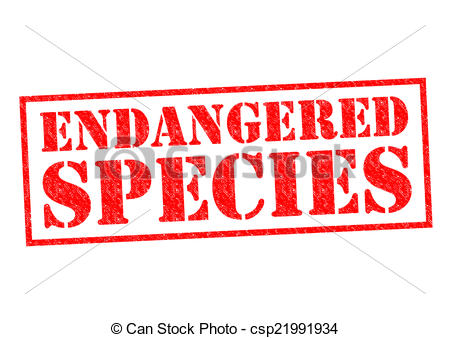 Endangered species Stock Illustrations. 2,107 Endangered species.