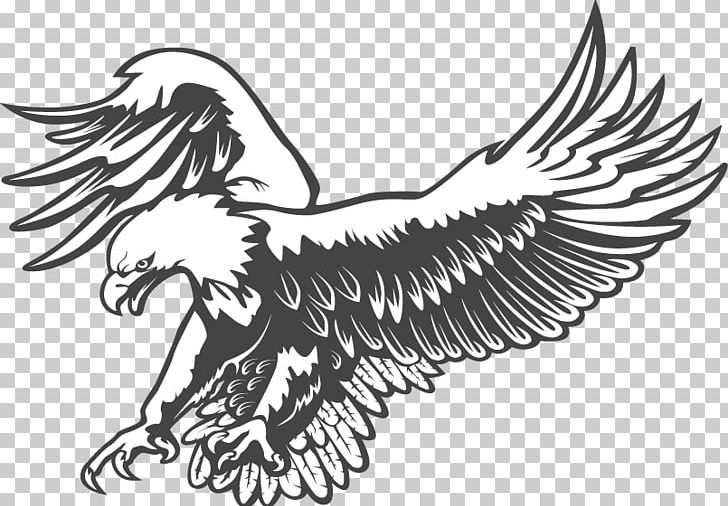 Bald Eagle Black And White Graphics PNG, Clipart, Animals, Artwork.