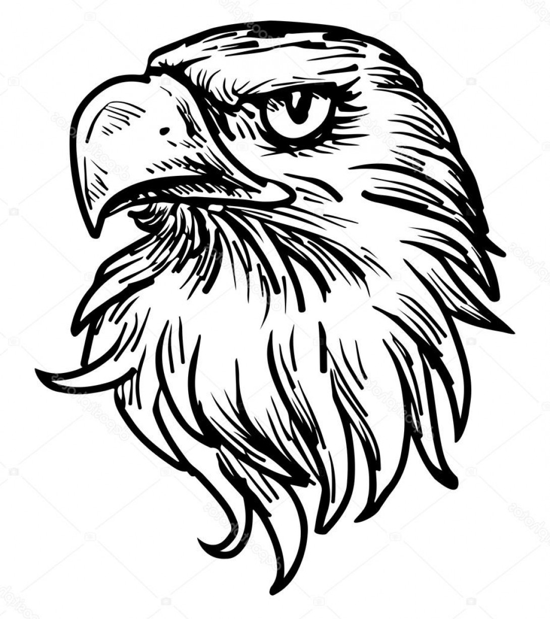 Stock Illustration Hand Drawn Eagle Head.