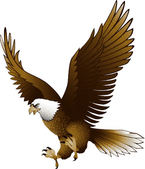 Go Eagles Clipart.