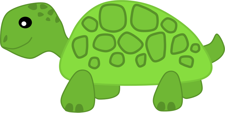 Land turtle clipart.