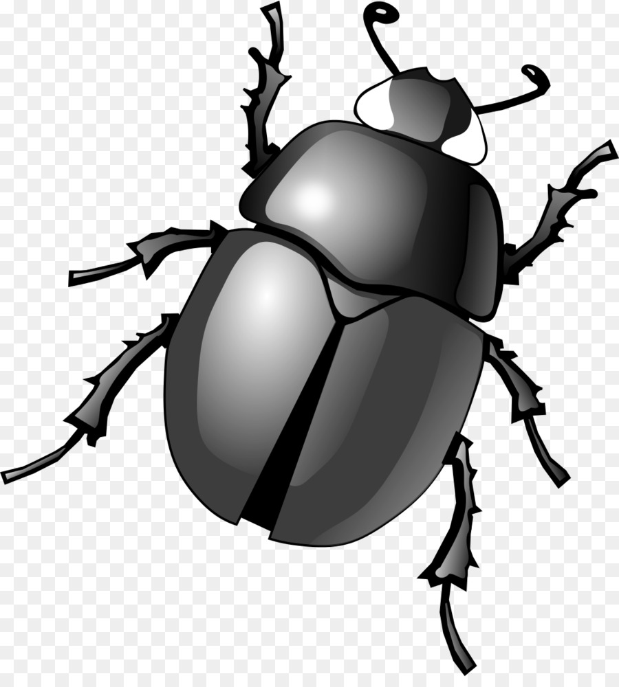 Beetle clipart scarab beetle, Beetle scarab beetle.