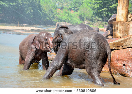 Orphanage Stock Photos, Royalty.