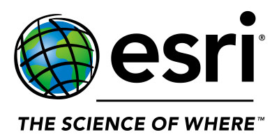 NSG performs Standard and Custom Esri Deployments.