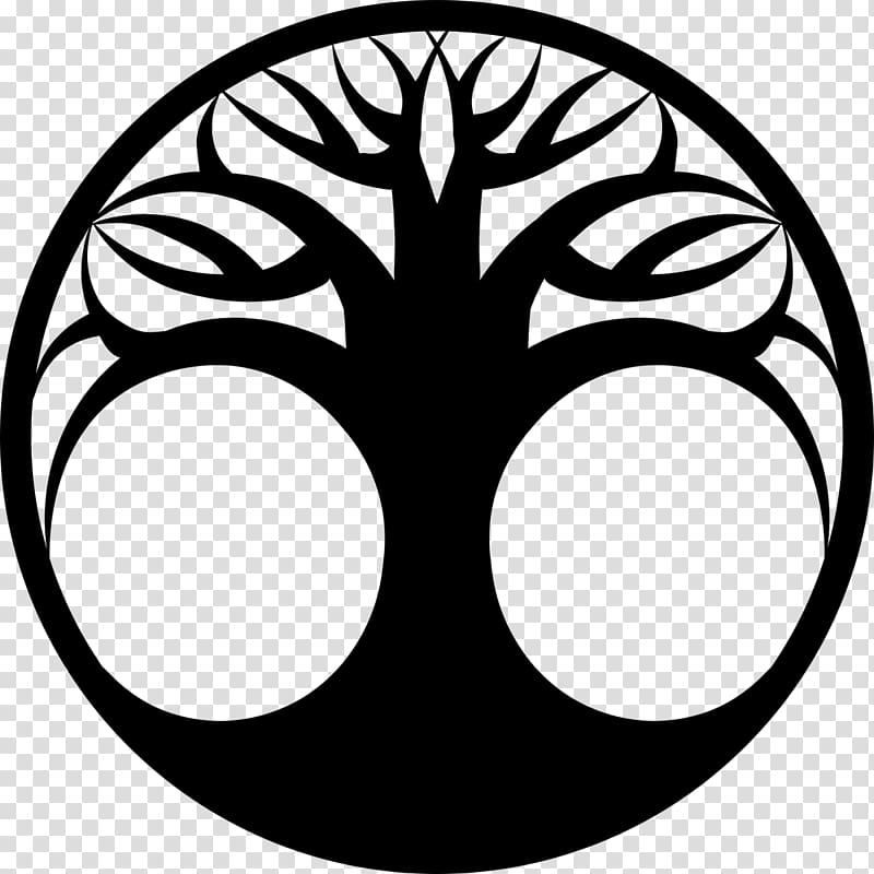 Drawing Tree of life , gift of eternal life transparent background.