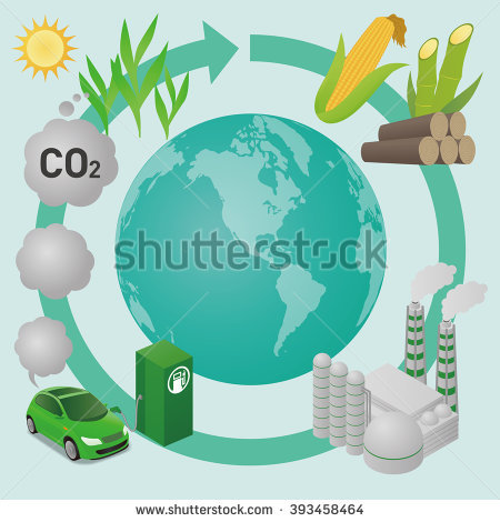 Biomass Stock Vectors, Images & Vector Art.