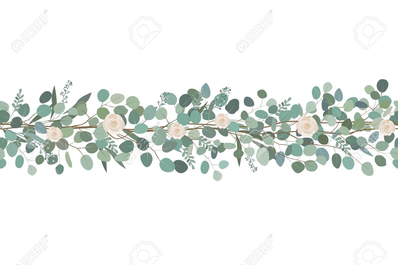 Eucalyptus Border & Free Eucalyptus Border.png Transparent.