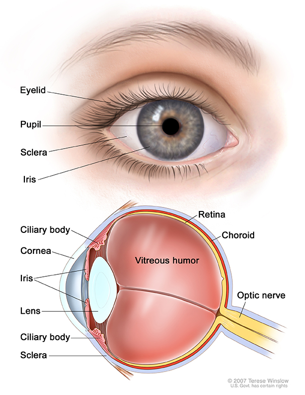 Oh La La Eye Clipart.