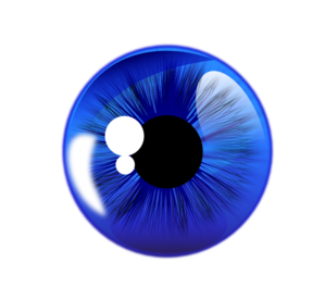 Blue Eye White Back Clip Art at Clker.com.