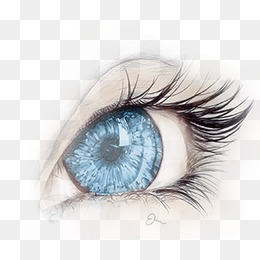 Eye, Eye, Eyelash, Blue Eyes PNG And PSD #50859.