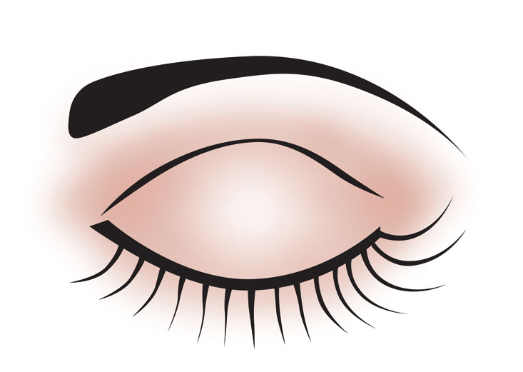 Eyelids clipart.