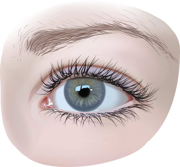 Eye PNG Image.