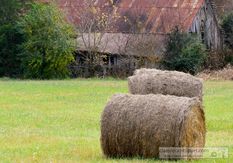 Agriculture : rolls.