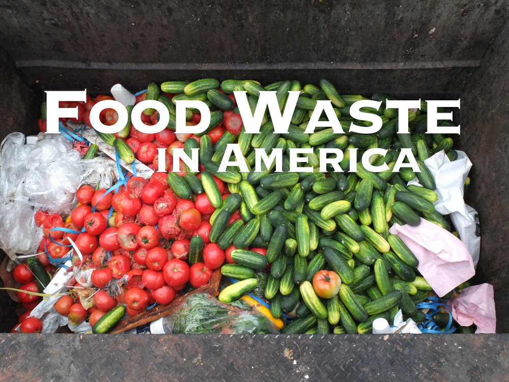 Similiar Food Waste In America Keywords.