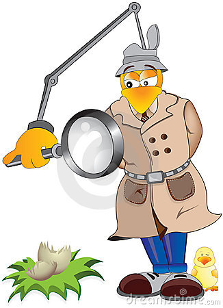 Chicken Inspector Royalty Free Stock Photos.