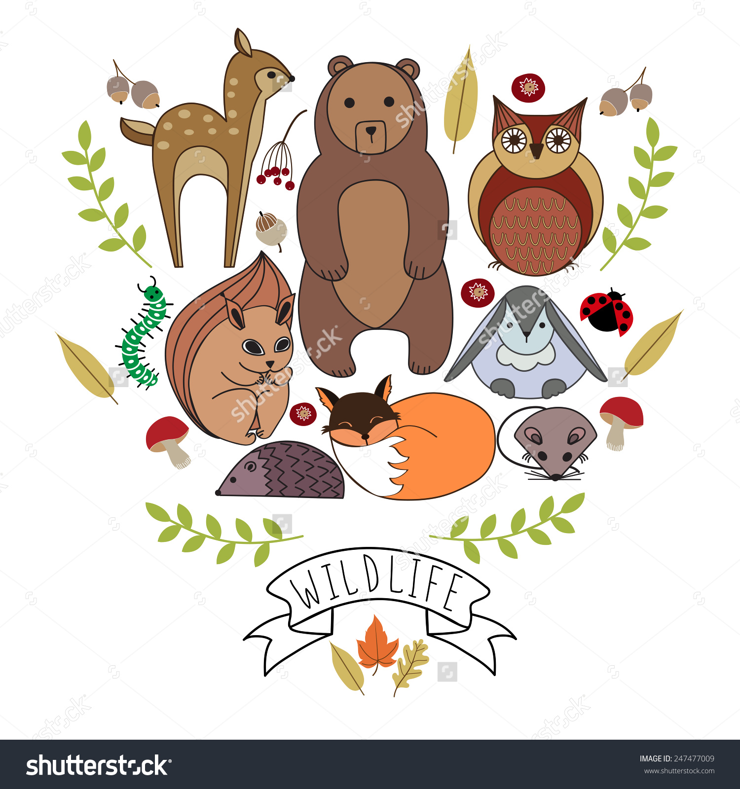 Forest Animals. Wood Life. Forest Dwellers. Cute Little Animals.