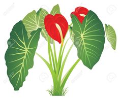 Jungle flower clipart.