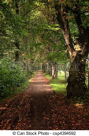 Clip Art of Forest path at the begining of autumn csp4394592.