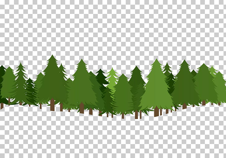 Christmas tree Pine , forest , green tree illustration PNG.