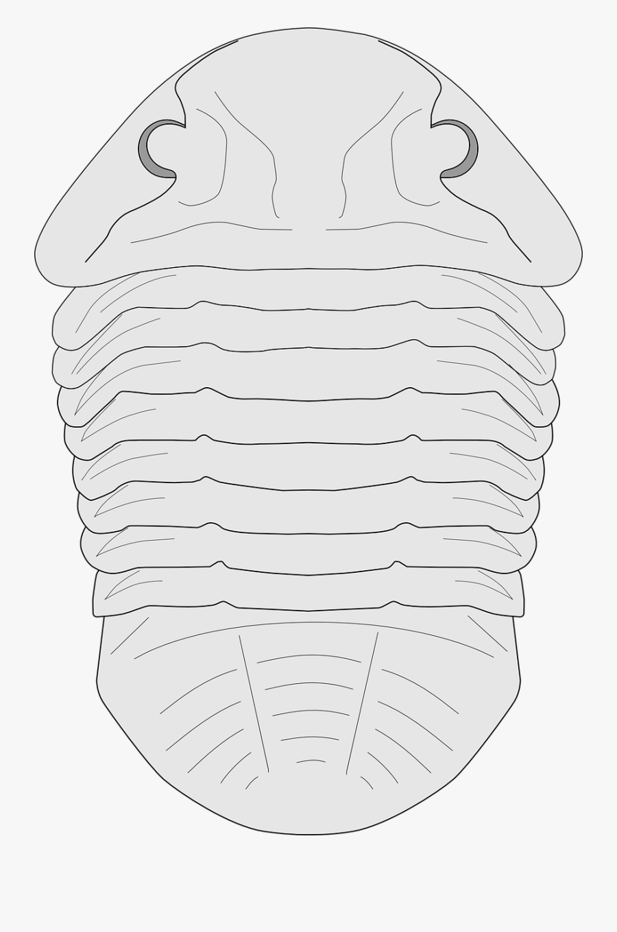 Transparent Fossil Clipart Black And White.