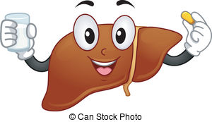 Liver Stock Illustrations. 8,955 Liver clip art images and royalty.