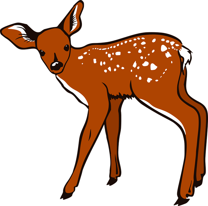 Fawn.