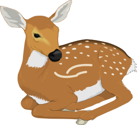 Fawn Clip Art Download.