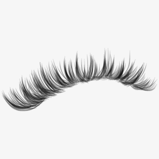 lashes #makeup #lash #eyelashes #eyeliner #fakelashes.