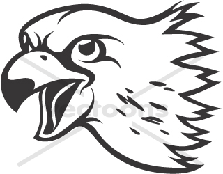 Falcon clipart head.