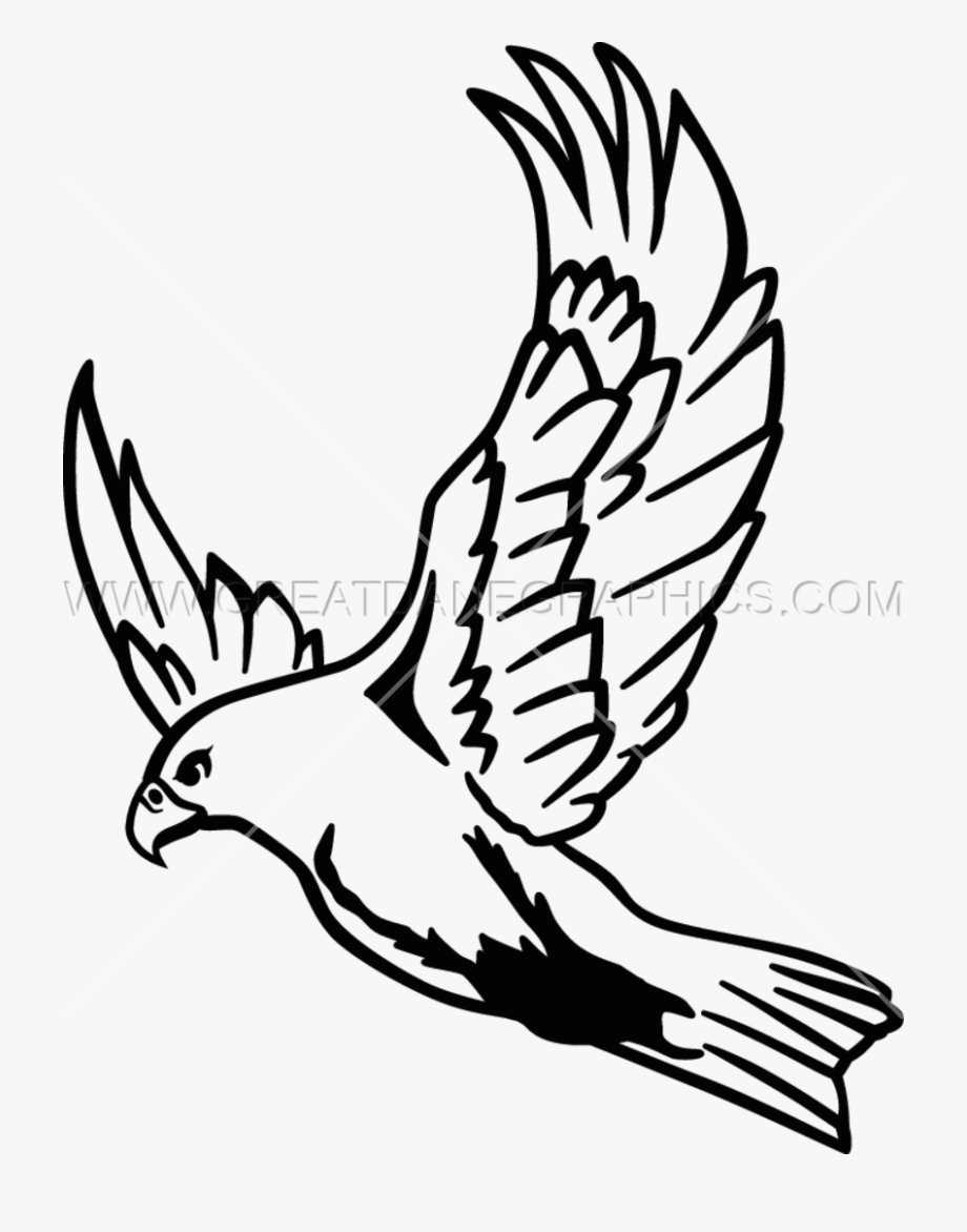 Falcon Clipart Easy.