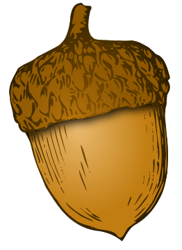 acorn clipart.