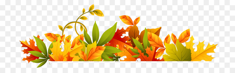 Autumn, Flower, Yellow, transparent png image & clipart free download.