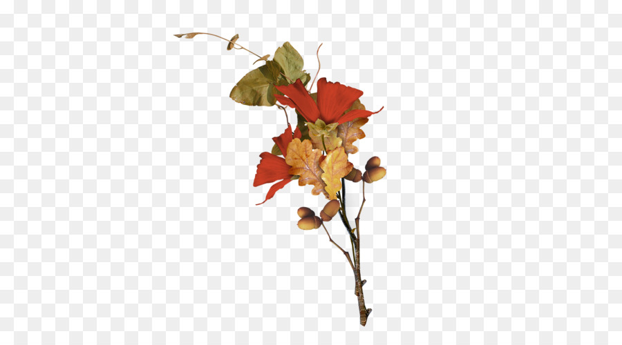 Autumn Tree Branch png download.