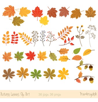 Autumn leaves clipart, Fall leaves clipart, Autumn leaf clip art.