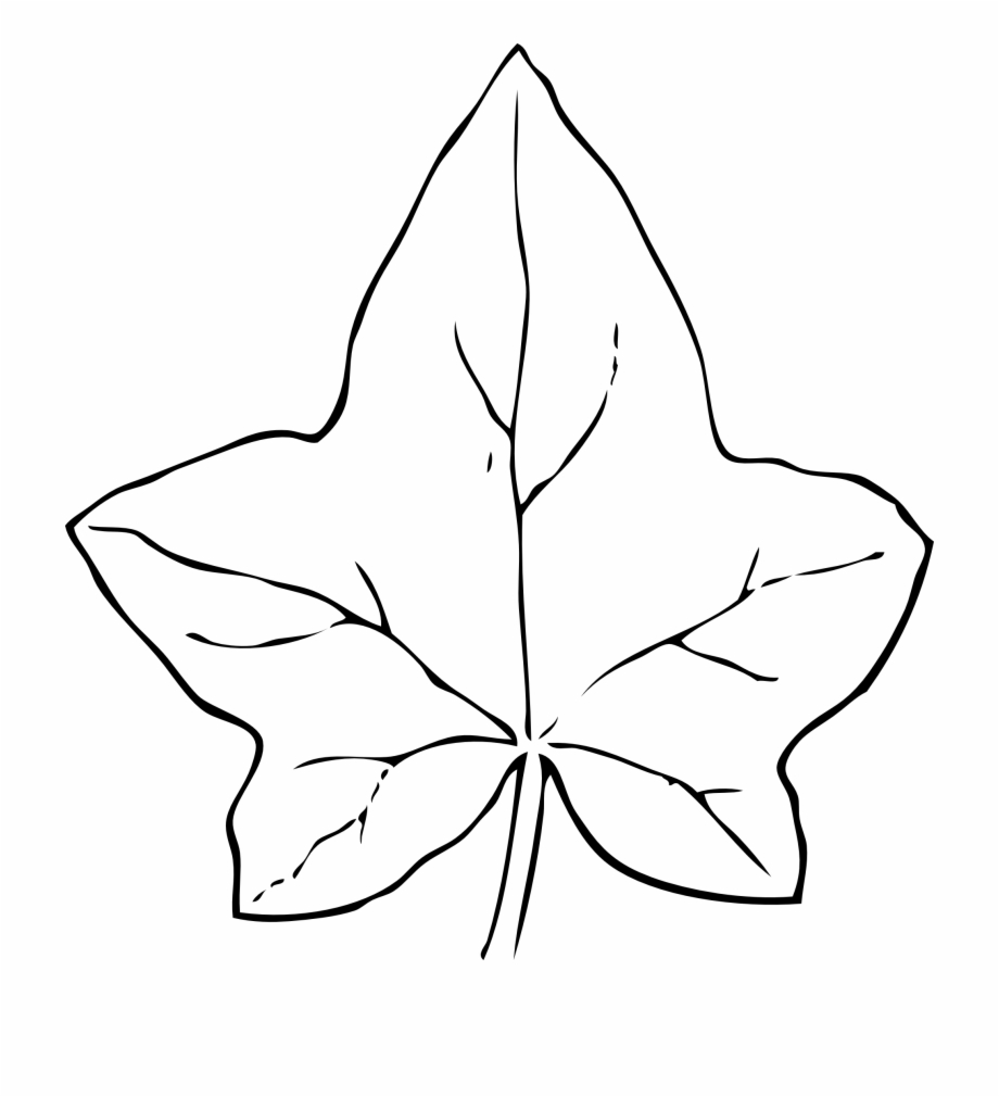 Leaves Black And White Fall Leaves Clipart Black And.