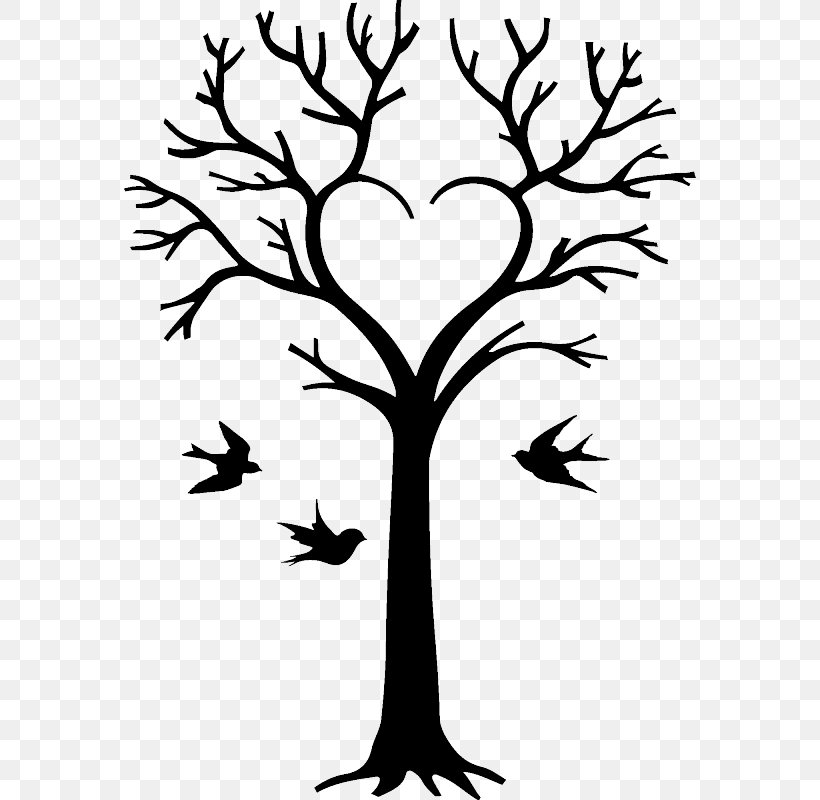 Family Tree Drawing Genealogy Clip Art, PNG, 800x800px.