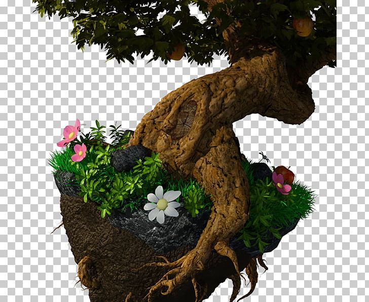 Bonsai Tree Trunk Branch Chinese Sweet Plum PNG, Clipart, Agac.