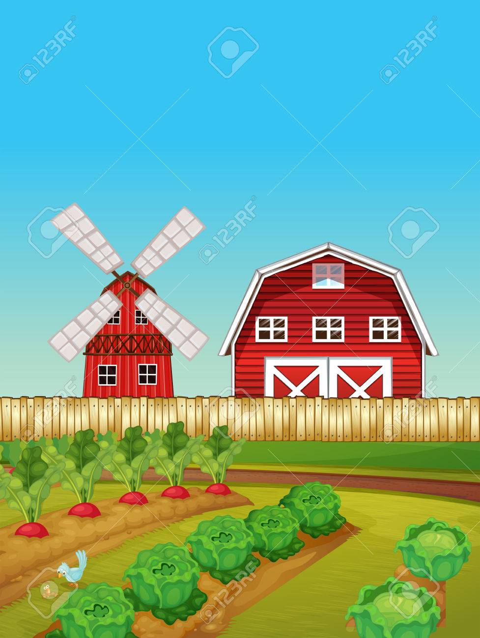 Farm scene with vegetable garden and barn illustration.